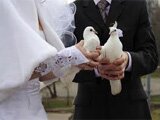 Свадебные голуби - бизнес